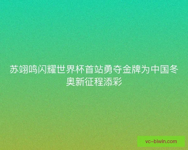 苏翊鸣闪耀世界杯首站勇夺金牌为中国冬奥新征程添彩